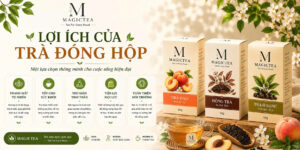 Lợi ích trà đóng hộp Magictea