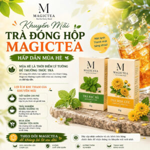 Khuyến mãi trà đóng hộp Maggictea