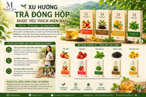 Xu hướng trà đóng hộp